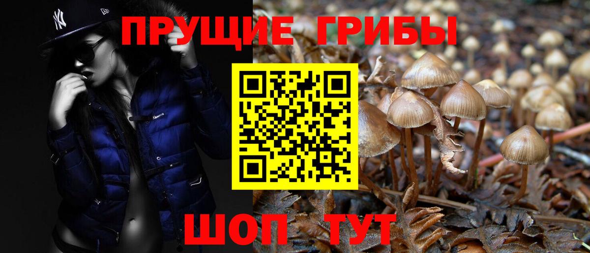 Спасск-Дальний  Псилоцибиновые грибы мицелий  Вход с VPN 